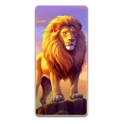 Lion
Safari